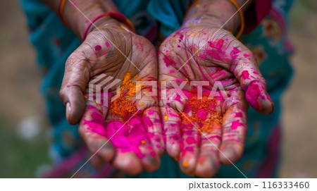 Colorful holi painted hands outdoors 116333460