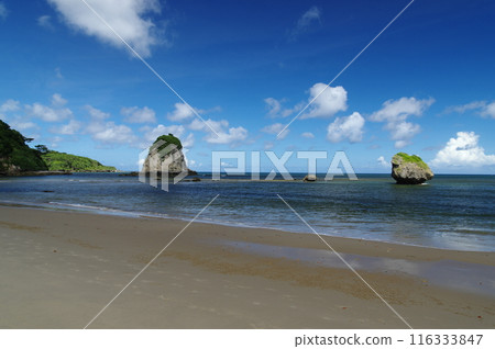 西表島的景觀 西表島的景觀 116333847
