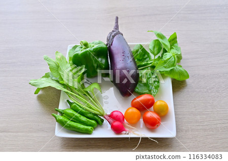 新鮮蔬菜,夏季蔬菜,新鮮採摘,早上採摘,家庭菜園 新鮮蔬菜,夏季蔬菜,新鮮採摘,早上採摘,家庭菜園 116334083