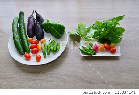 Fresh vegetables, summer vegetables, freshly picked, morning harvest, home garden Fresh vegetables, summer vegetables, freshly picked, morning harvest, home garden 116334141