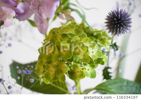 花束綠色/紫色水平 116334197