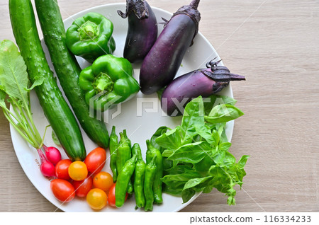 Fresh vegetables, summer vegetables, freshly picked, morning harvest, home garden Fresh vegetables, summer vegetables, freshly picked, morning harvest, home garden 116334233