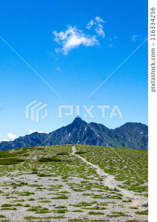 Runway in the sky 116334256