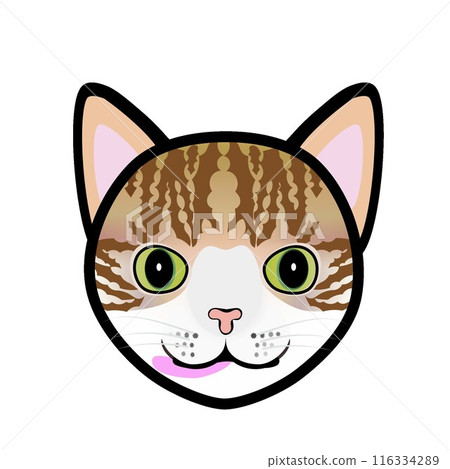 Brown and white cat face illustration 116334289