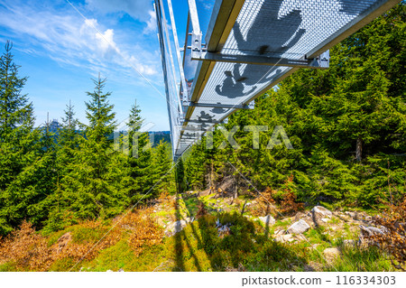 A view from below the Sky Bridge 721 in Dolni Morava, Czechia. Silhouettes of people can be seen walking on the bridge, which is the longest suspension footbridge in the world. A view from below the Sky Bridge 721 in Dolni Morava, Czechia. Silhouettes of people can be seen walking on the bridge, which is the longest suspension footbridge in the world. 116334303