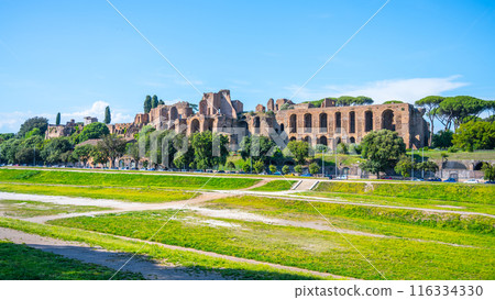 A view of the Domus Severiana ruins on Palatine Hill from Circus Maximus in Rome, Italy. The ancient Roman palace is visible in the distance, with a grassy area in the foreground. A view of the Domus Severiana ruins on Palatine Hill from Circus Maximus in Rome, Italy. The ancient Roman palace is visible in the distance, with a grassy area in the foreground. 116334330