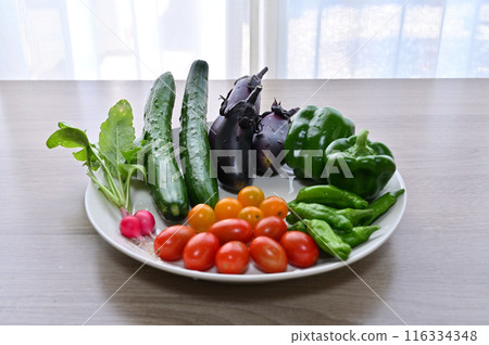 Fresh vegetables, summer vegetables, freshly picked, morning harvest, home garden Fresh vegetables, summer vegetables, freshly picked, morning harvest, home garden 116334348