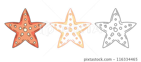 Starfish, colorful and line icons set. Summer beach, underwater, marine concept, vector outline icon, monochrome and color illustration. Summertime. For sticker, coloring book, logo, label 116334465