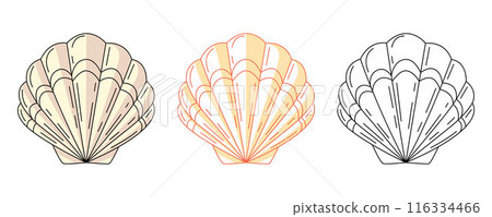 Seashell or scallop, colorful and line icons set. Summer beach, underwater, marine concept, vector outline icon, monochrome and color illustration. Summertime. For sticker, coloring book, logo, label 116334466