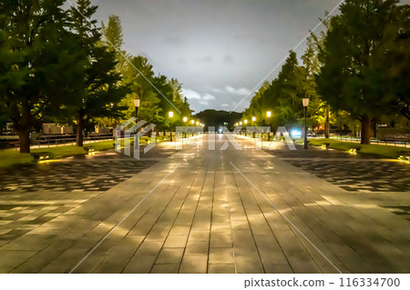 皇居外苑週邊的夜景 皇居外苑週邊的夜景 116334700