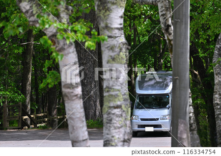 Camper, camping, outdoor, travel Camper, camping, outdoor, travel 116334754