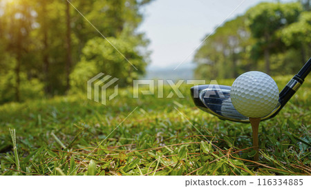 Golf balls on the golf course with golf clubs ready for golf in the first short. Golf balls on the golf course with golf clubs ready for golf in the first short. 116334885