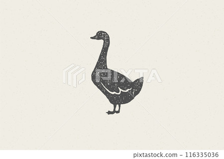 Goose silhouette for animal husbandry industry hand drawn stamp effect vector illustration. 116335036