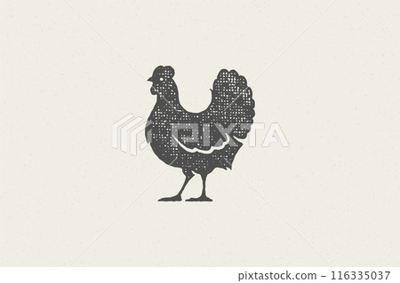 Hen farm chicken silhouette for farm industry hand drawn stamp effect vector illustration. 116335037