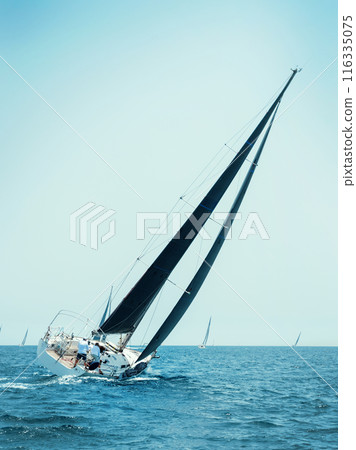 Sailboats races in regatta near Brindisi under blue sky. Crew members working together on deck 116335075