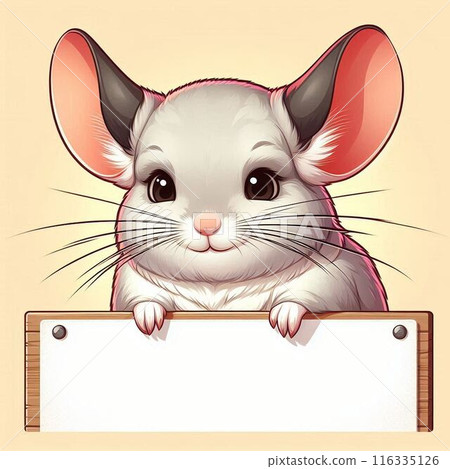 Chinchilla holding a sign 116335126