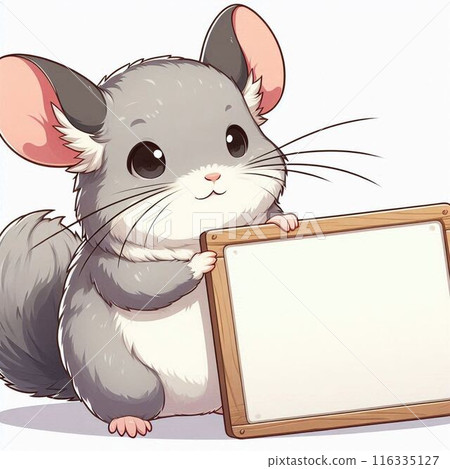 Chinchilla holding a sign 116335127