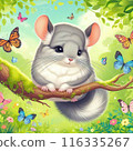 Chinchilla 116335267