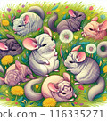 Chinchilla 116335271