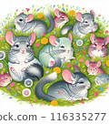 Chinchilla 116335277