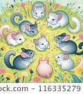 Chinchilla 116335279