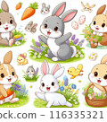 Rabbit  116335321