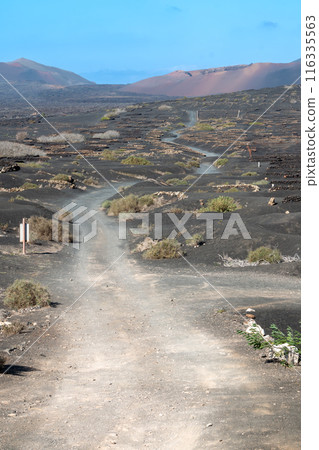 Gravel road in region La Geria, Lanzarote, Spain Gravel road in region La Geria, Lanzarote, Spain 116335563