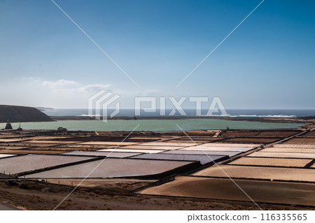 Salt pans, Salinas del Janubio, Lanzarote, Spain 116335565