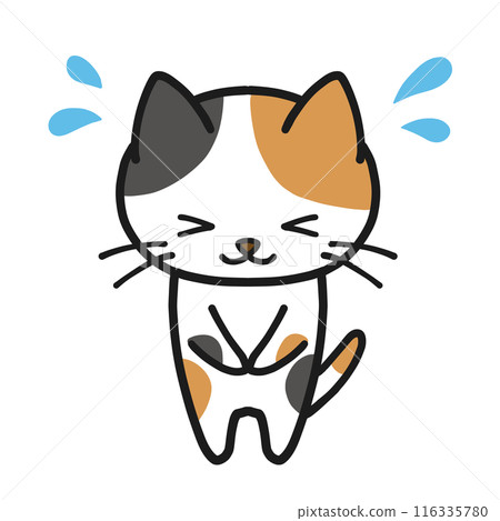 Calico cat bowing impatiently Calico cat bowing impatiently 116335780