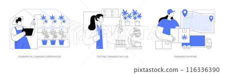 Commercial cannabis cultivation isolated cartoon vector illustrations se 116336390