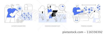 Commercial cannabis growing isolated cartoon vector illustrations se 116336392