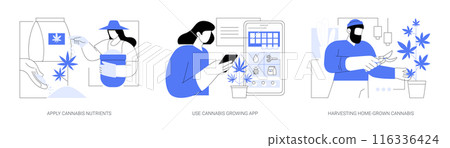 Growing cannabis at home isolated cartoon vector illustrations se 116336424