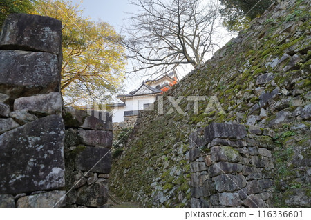城堡石牆和城堡塔 116336601