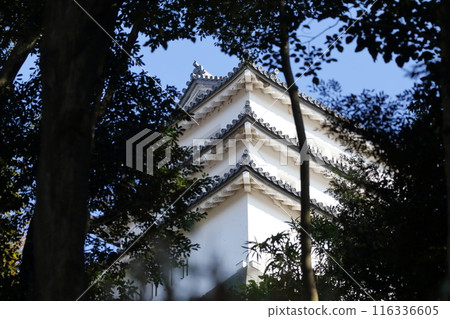 Hikone Castle, Shiga Prefecture A castle surrounded by forest 116336605