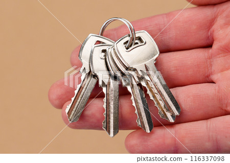 A bunch of apartment keys in the hand of a male real estate agent close up 116337098
