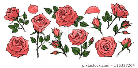 Hand drawn colorful roses 116337204