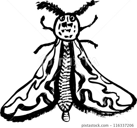 Grunge Hand Drawn Ink Brush Night Moth 116337206