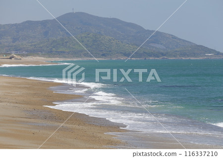 在海灘的海灘 116337210