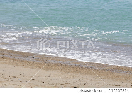 The beach at the beach 116337214