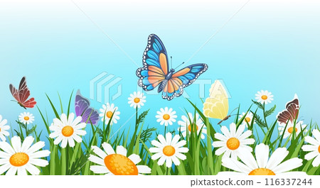 Butterflies over the meadow Butterflies over the meadow 116337244