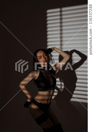 Studio fashion shot of the pretty young woman. Studio fashion shot of the pretty young woman. 116337288