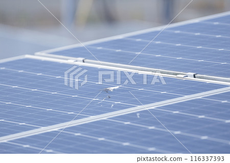 太陽能板污染 太陽能板污染 116337393
