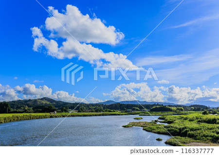 The Kawauchi River as seen from Shimodono Bridge (Oguchi Shimodono, Isa City, Kagoshima Prefecture) The Kawauchi River as seen from Shimodono Bridge (Oguchi Shimodono, Isa City, Kagoshima Prefecture) 116337777
