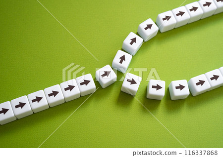 The road branches into two directions. Fork in the road. New perspectives and opportunities. Weigh the choice and choose the path. The concept of choosing a future direction of work. 116337868