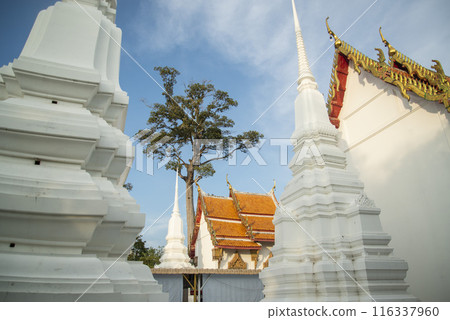 THAILAND AYUTTHAYA WAT KASATTRATHIRAT THAILAND AYUTTHAYA WAT KASATTRATHIRAT 116337960