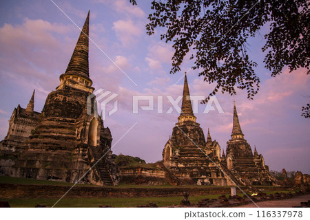 THAILAND AYUTTHAYA WAT PHRA SI SANPHET 116337978