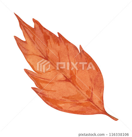 Autumn leaf in orange color. Bright and festive Fall design element. Watercolor clipart for print, cards, Thanksgiving, seasonal celebrations, floral greeting arrangements, farmers market, stickers 116338106