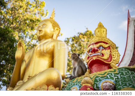 THAILAND PRACHUAP HUA HIN WAT KHAO TAKIAB 116338303