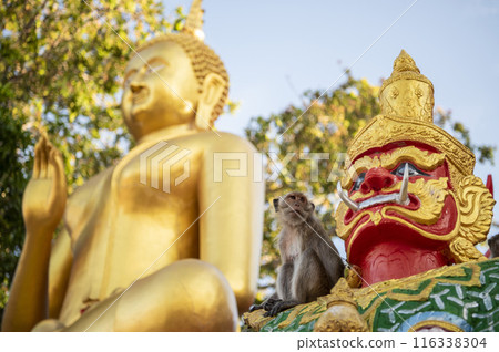 THAILAND PRACHUAP HUA HIN WAT KHAO TAKIAB THAILAND PRACHUAP HUA HIN WAT KHAO TAKIAB 116338304