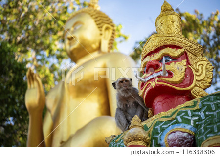 THAILAND PRACHUAP HUA HIN WAT KHAO TAKIAB THAILAND PRACHUAP HUA HIN WAT KHAO TAKIAB 116338306